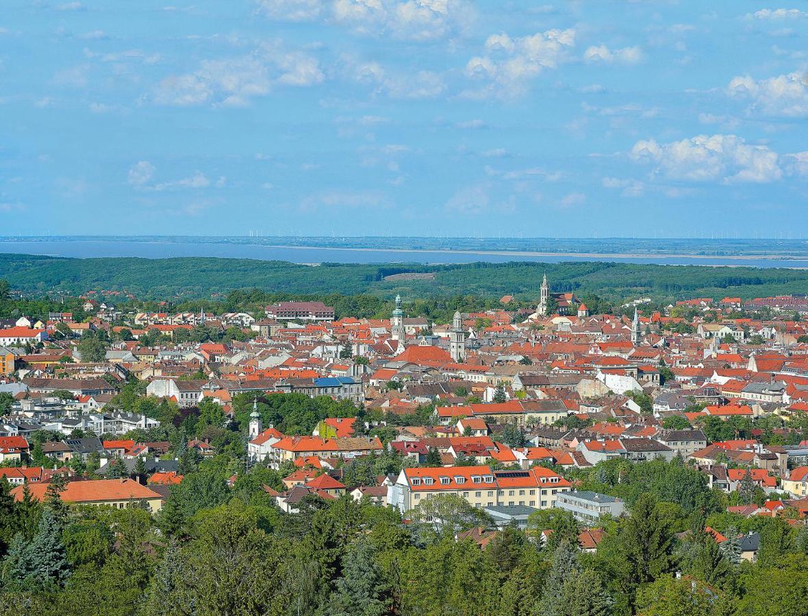 B&B Vadaszkuert Panzio Sopron
