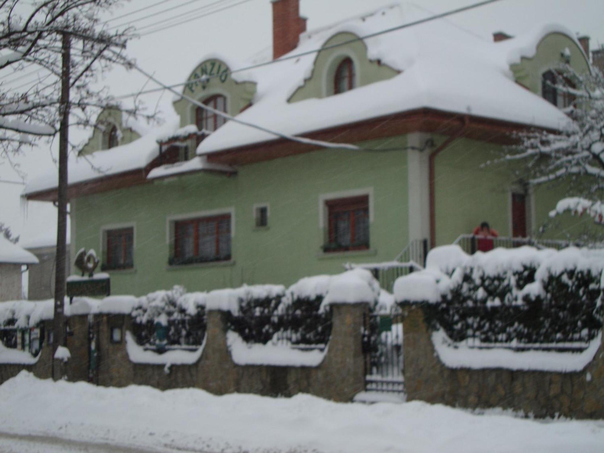 B&B Vadaszkuert Panzio